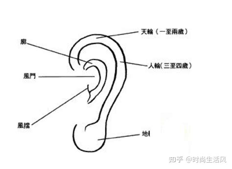 耳朵附近的痣|耳朵上面长痣